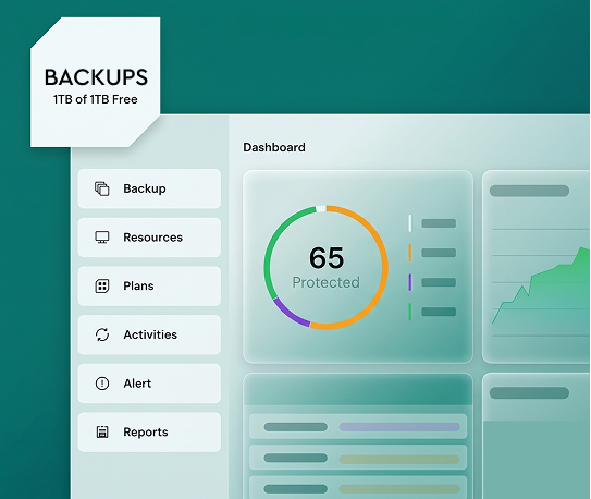 RAID Backups